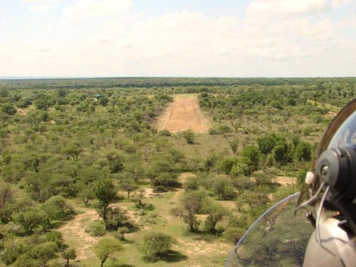 Ntokozo Runway 16.jpg