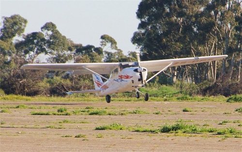 Fisantekraal - Grass on Runway_1.JPG