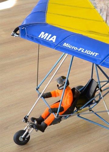 MIATANARG_RC_MICROLIGHT_3825B.jpg