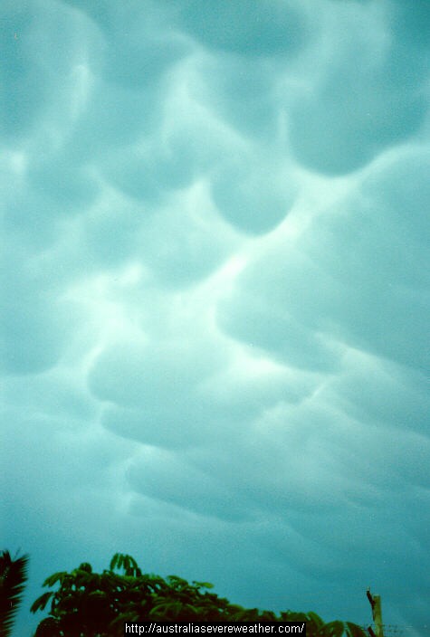 mammatus.jpg