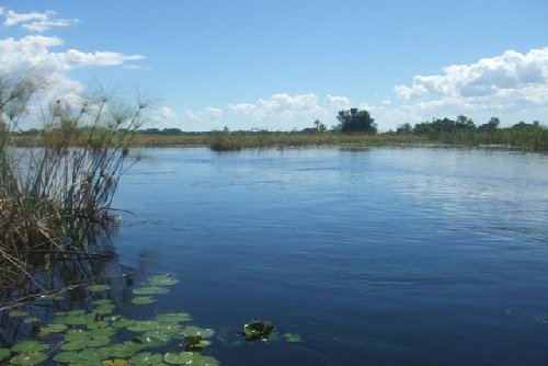 DSCF5197.JPG