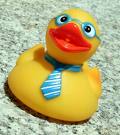 rubber duck.jpg