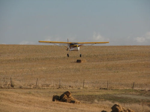 New Flight2.jpg