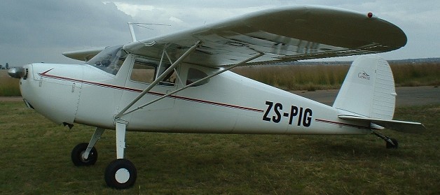 zspig3.jpg