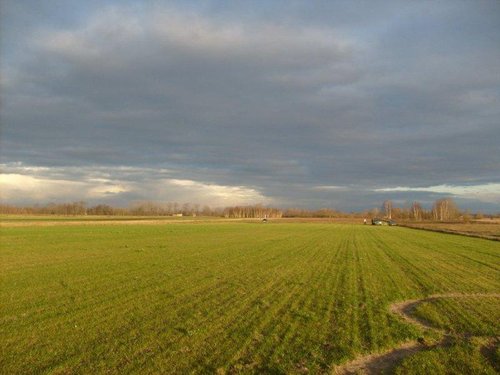 Runway East.jpg