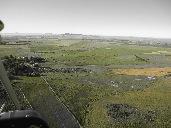 IMG_2124.JPG
