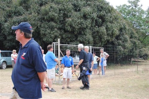 Africa cup 2010 (9) (Small).JPG