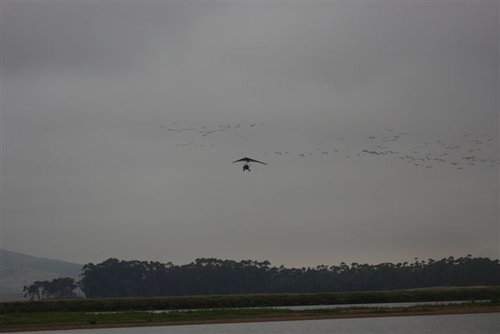 IMG_7409a.JPG