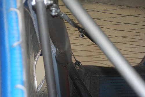 cheetah10.jpg