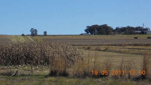 DSCN4230.JPG