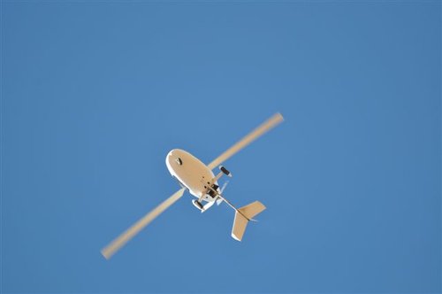 DSC_1872.JPG