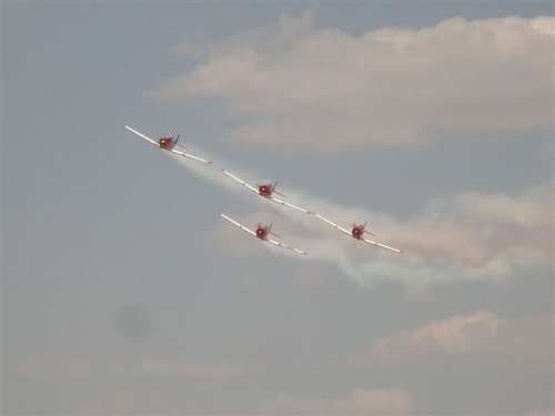 Harvards1.JPG