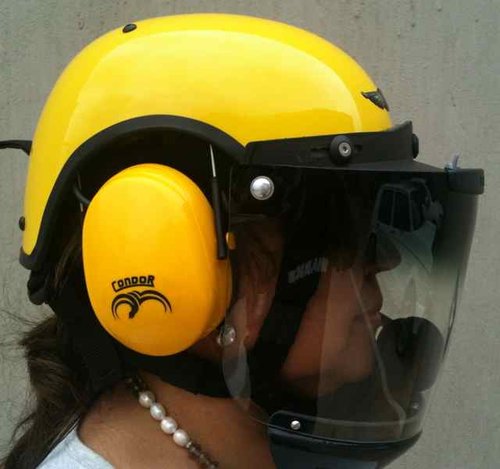 Condor with visor.jpg