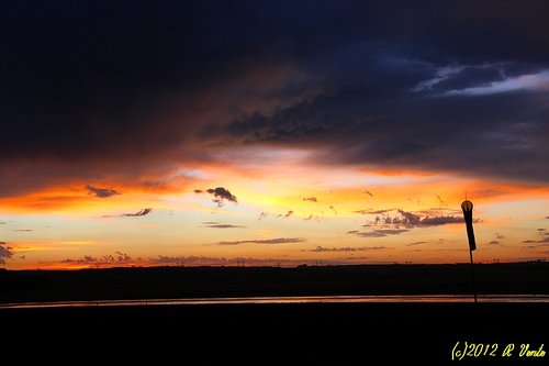 img_8542c_std.jpg