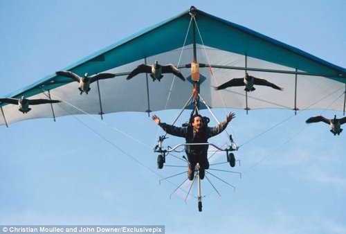 Motorised hang glider.jpg