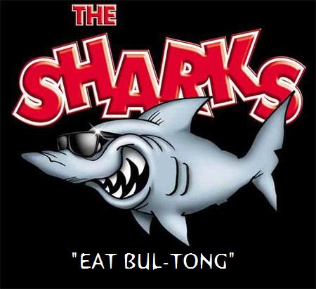 sharks1.jpg