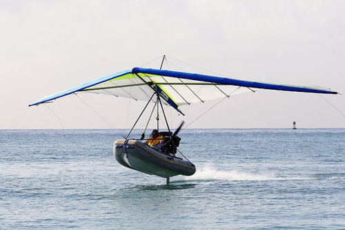 shark-glider_1814991i.jpg