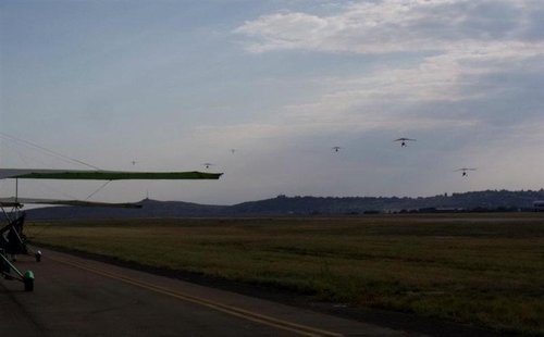 fly4 (Medium).jpg