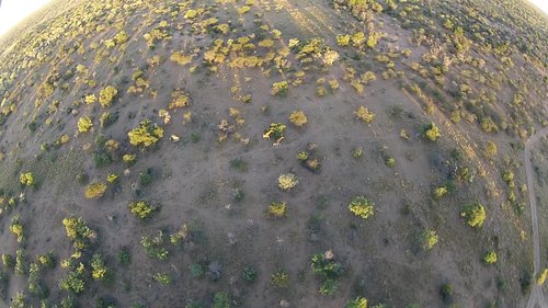 vlcsnap-2013-03-18-09h34m29s50.jpg