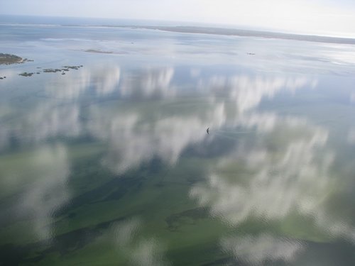 IMG_4628.jpg