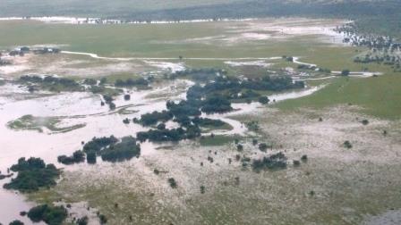 Swamps 05.jpg