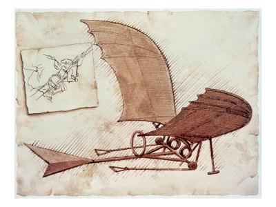 Fly1.jpg