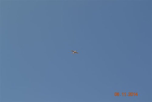 Bosveld breakfast2014 196.jpg