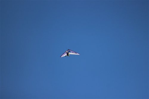 IMG_7998.jpg