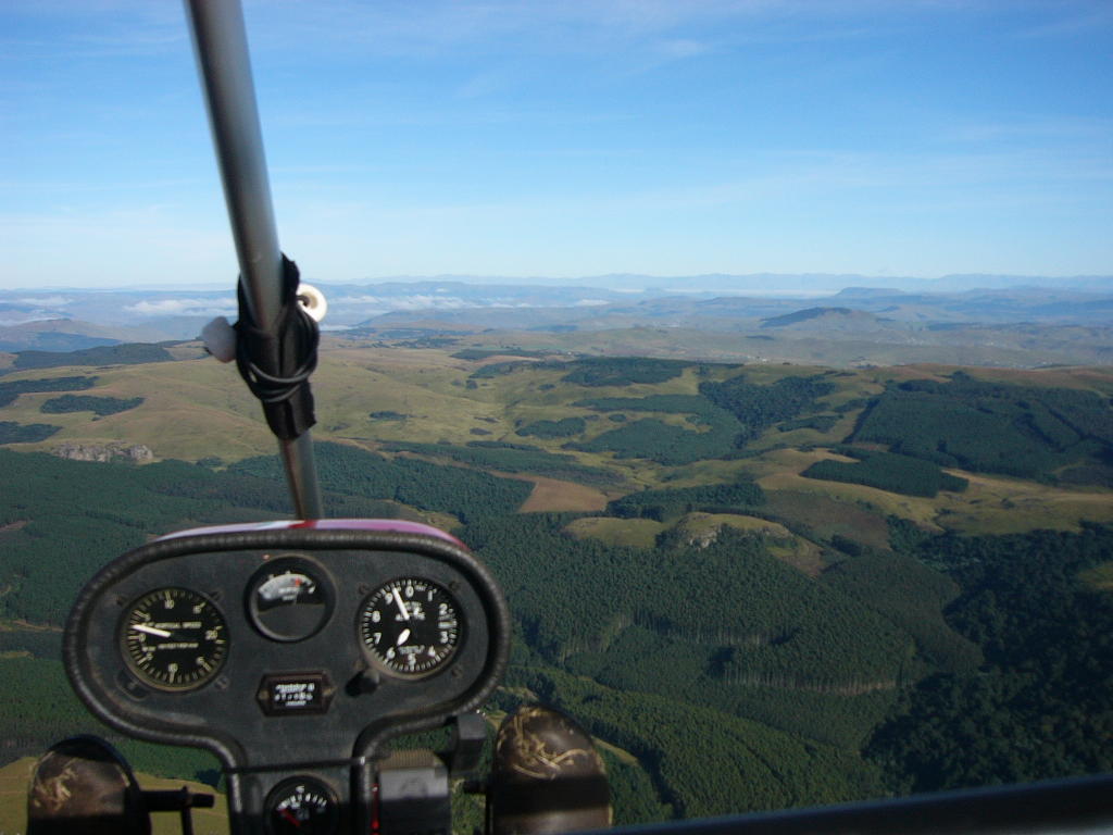 P1000333(1).JPG
