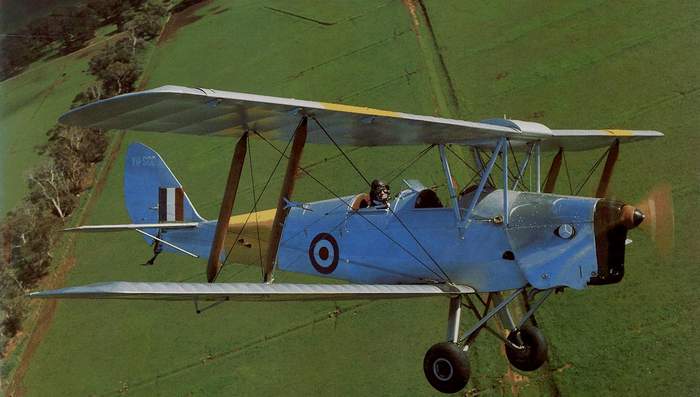 Tiger-Moth.jpg
