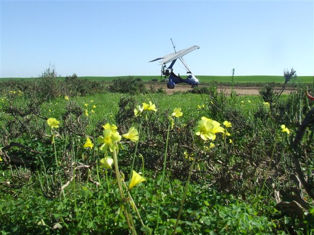 DSCF2914.JPG